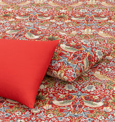 Pure Cotton Fitted Sheet Set - Juliet